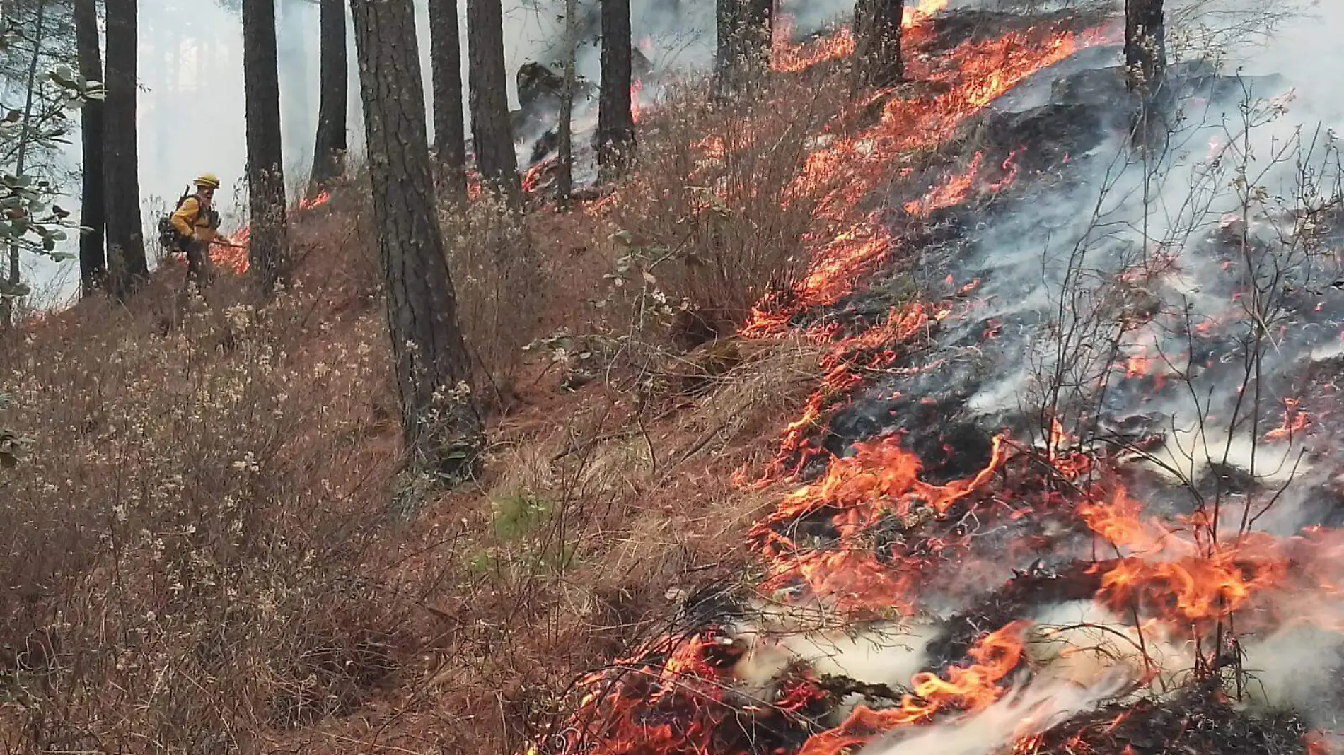 Puebla registró 20 incendios forestales en un mes